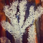 snow